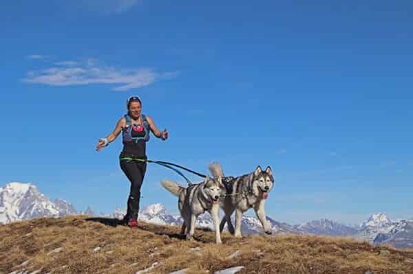 Le chien sportif