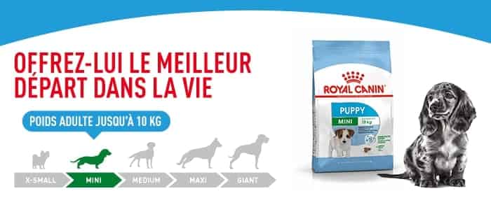 croquettes pour chiot