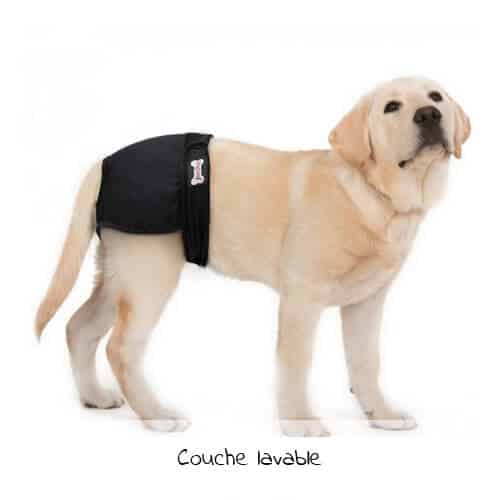 Couche lavable