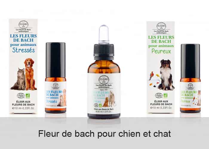 Fleur de bach pour chien et chat