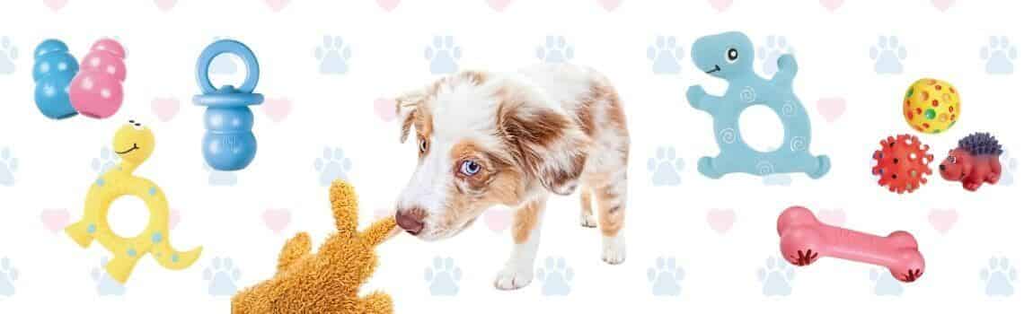 Jouet pour chiot