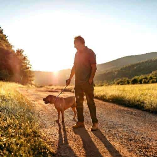 Promener son chien pendant plusieurs km : avantages et inconvénients