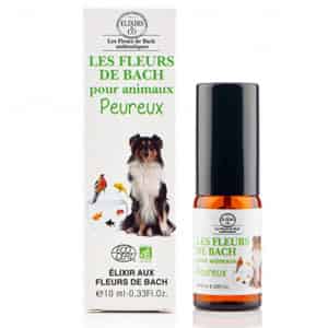Pour un chien/chat peureux