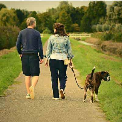 Pour un gros chien