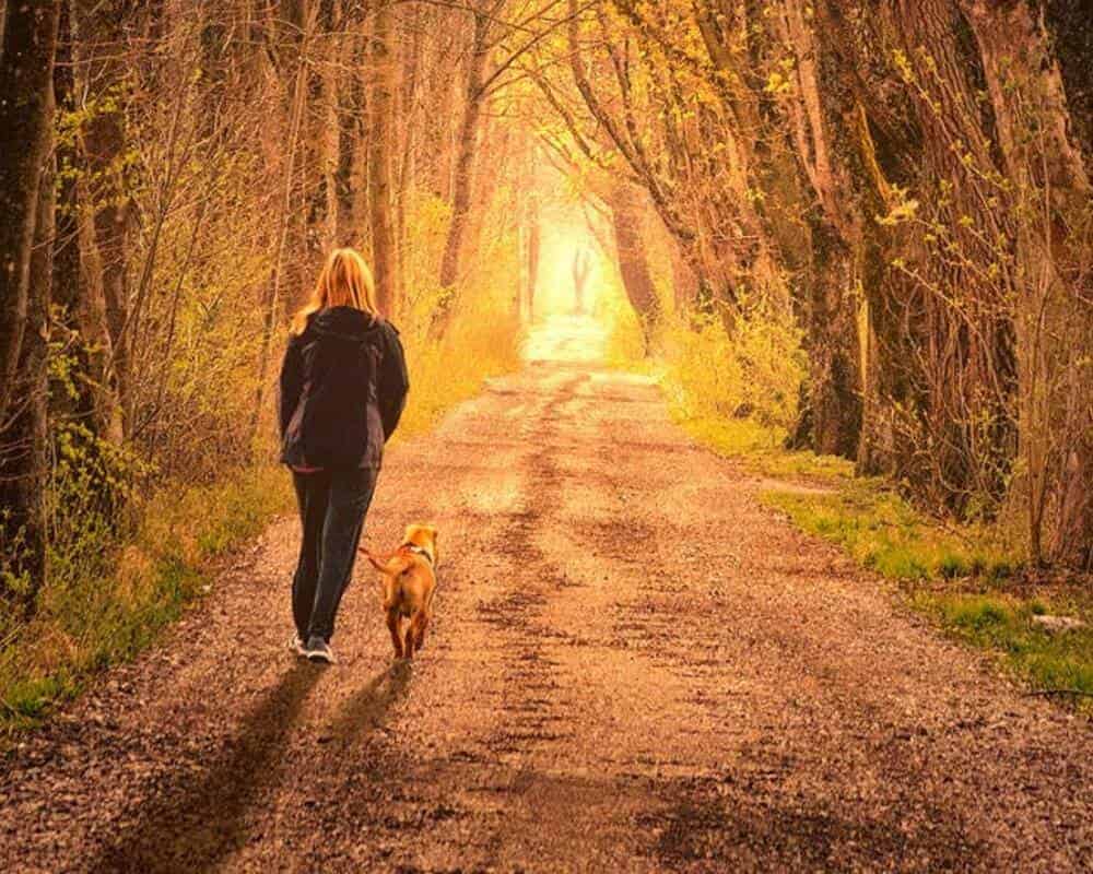 Quel sport à pied pratiquer avec son chien ?