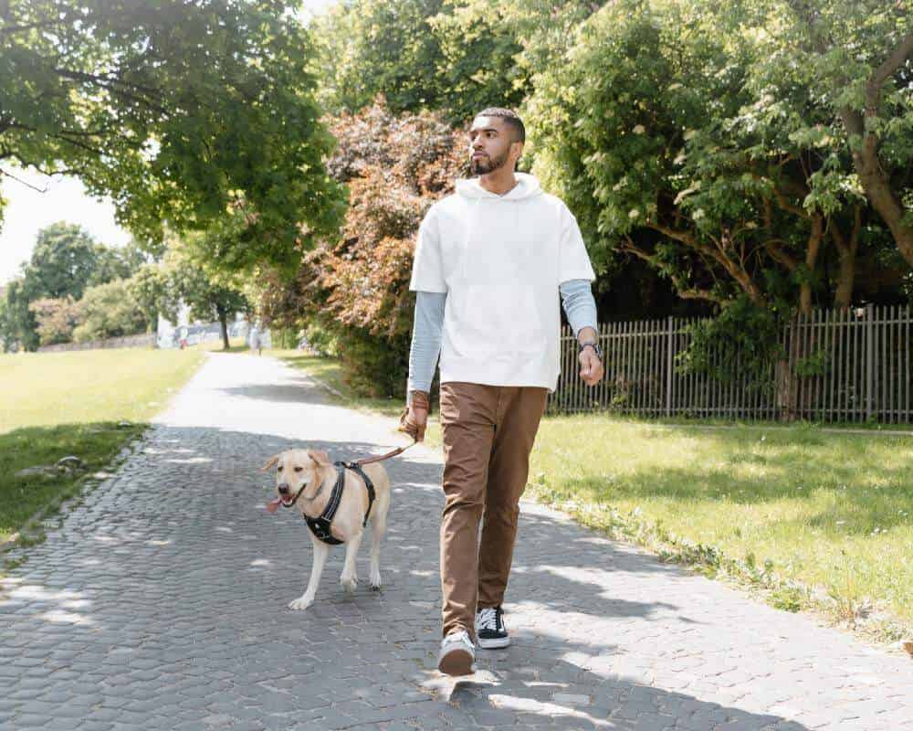 Comment préparer mon chien pour courir ?