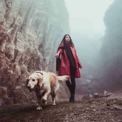 Pour un chien qui tire