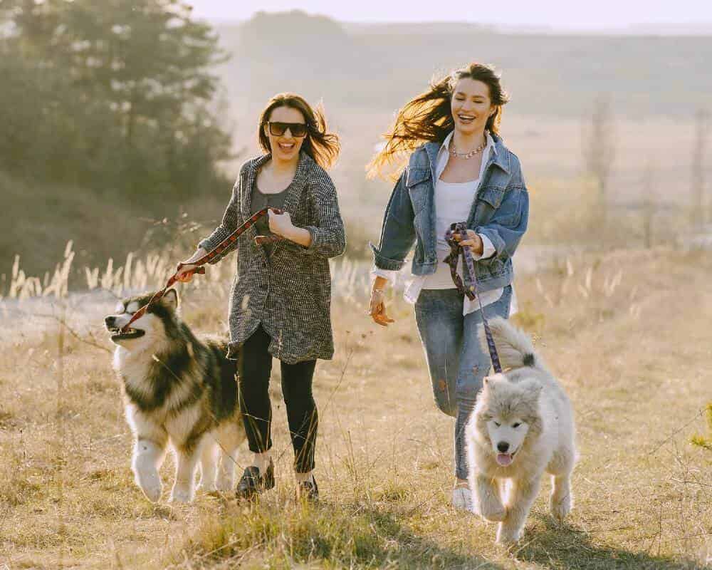 Comment ne pas avoir mal au dos quand on court avec son chien ?