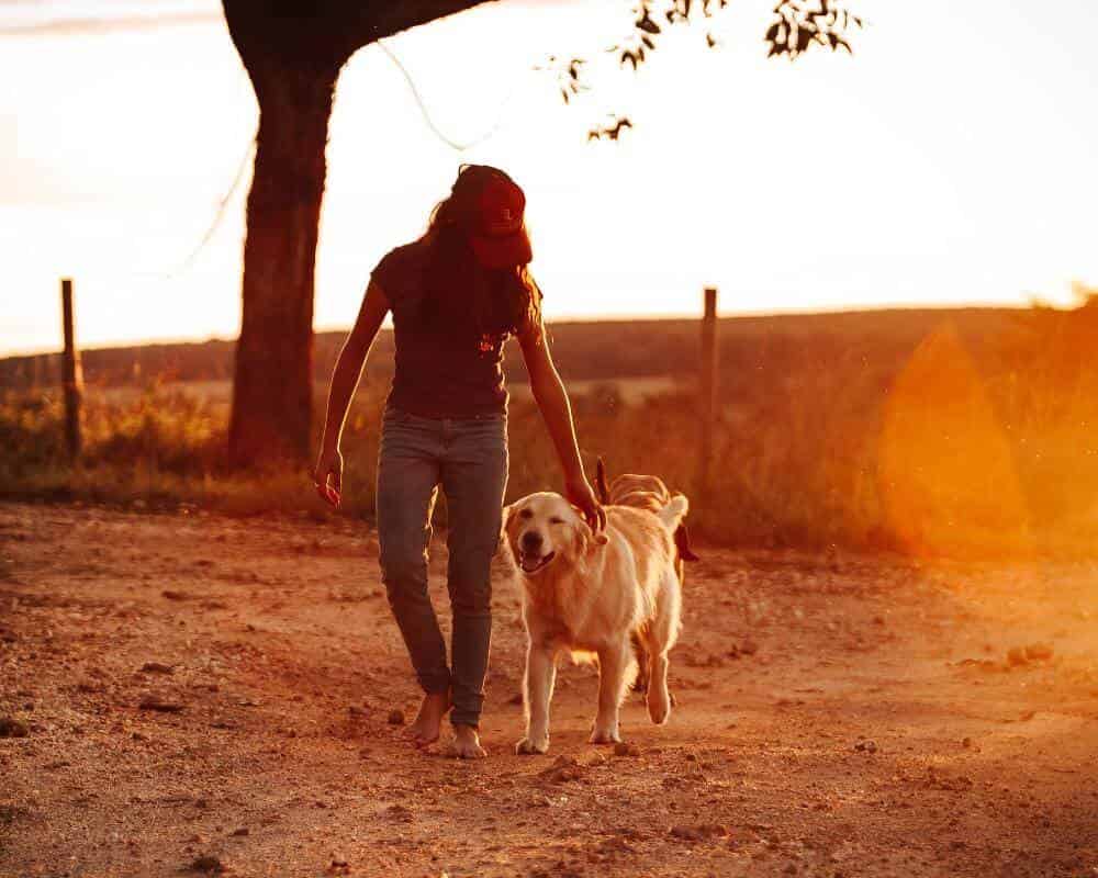 Quel matériel pour courir avec mon chien ?