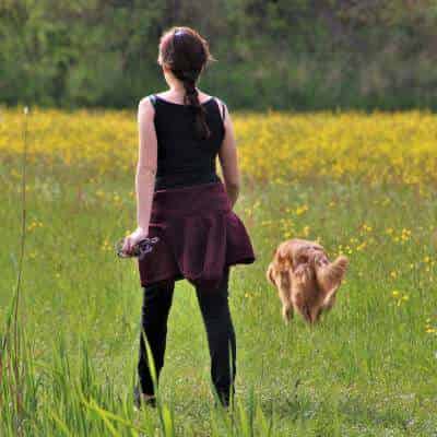 Pour un chiot ou petit chien