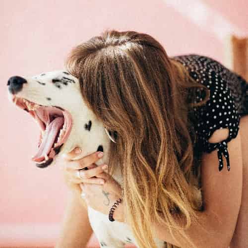chien qui perd ses dents : mauvaise hygiène dentaire
