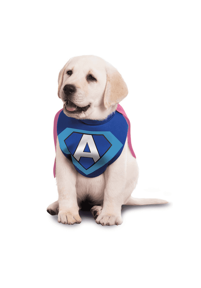 chien adaptil