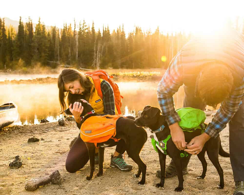 Quel sac à dos prendre pour les affaires de mon chien ?