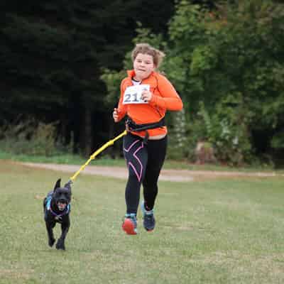 Un petit chien peut-il faire du sport ?