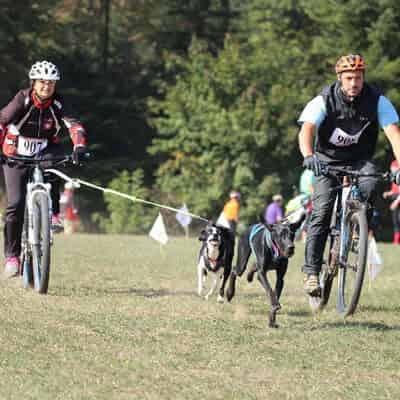 Pourquoi faut-il faire une compétition de sport ?