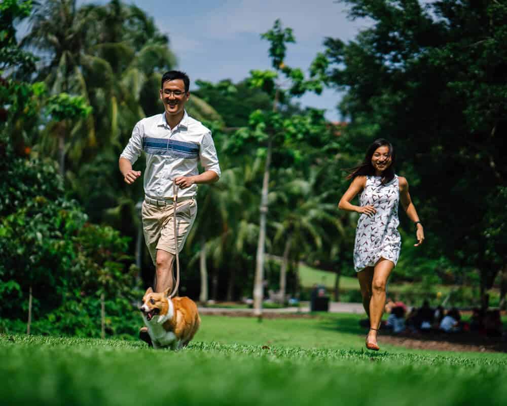 Un chiot peut-il faire du sport ?