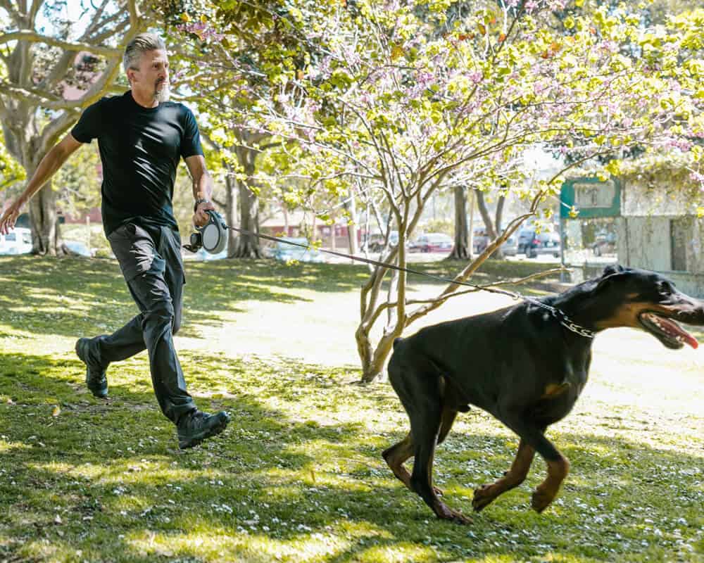 Un grand chien peut-il faire du sport ?