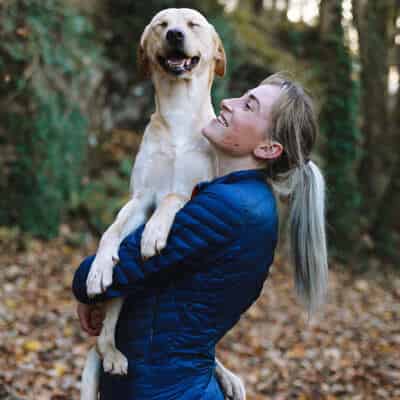 Les grands chiens taillés pour la compétition