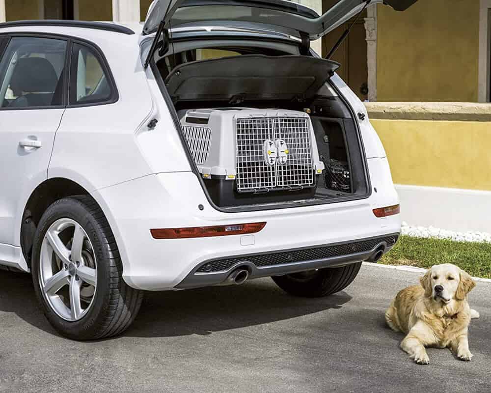 Quelle caisse de transport choisir pour mon chien ?