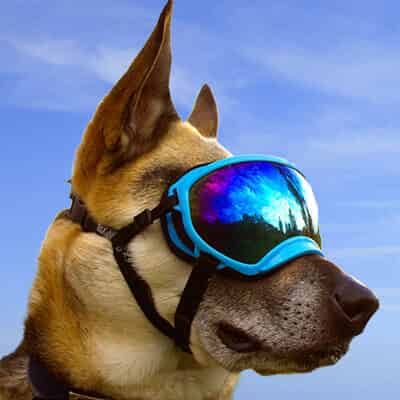 Et des lunettes