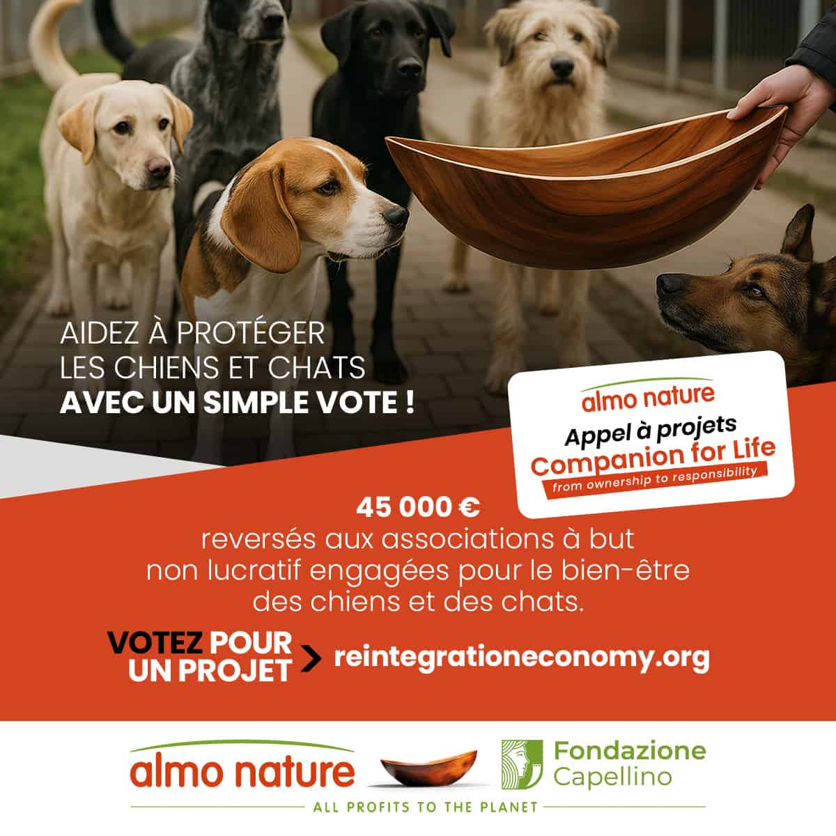 Aidez les animaux dans le besoin chien