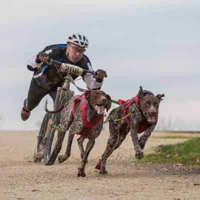Un sport de deux roues
