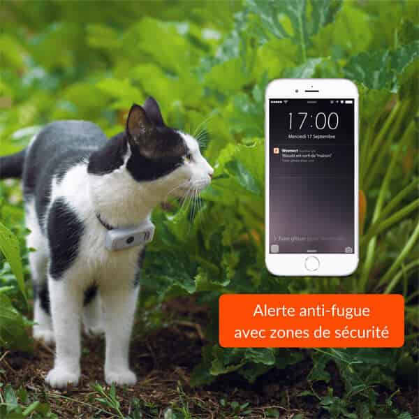 Weenect pour chat
