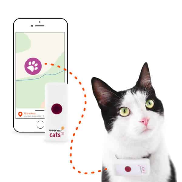 Weenect pour chat