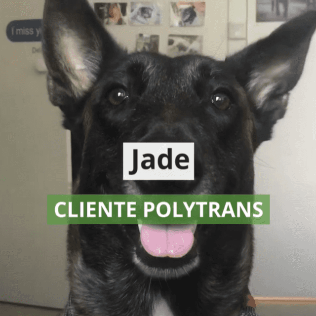 Jade