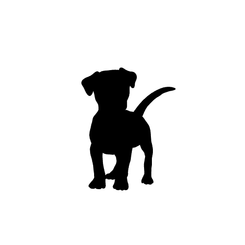Harnais anti traction chien  LUNA™ – leschiensmalins