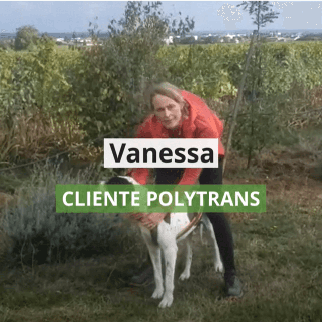 Vanessa