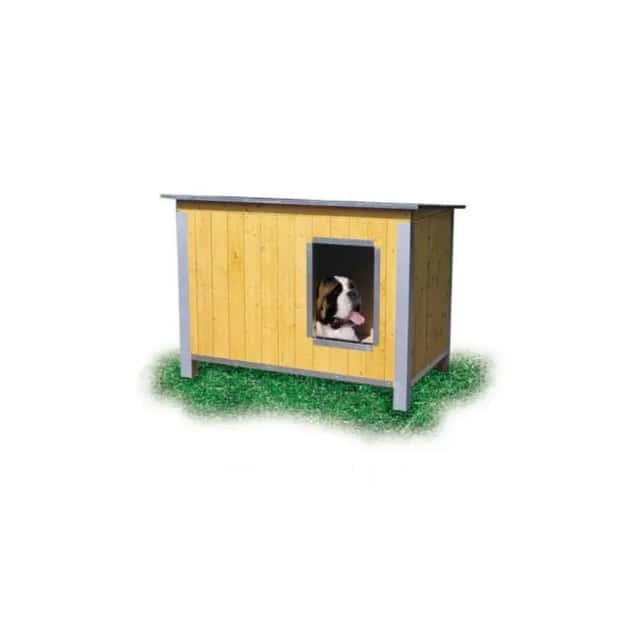 Niche chien