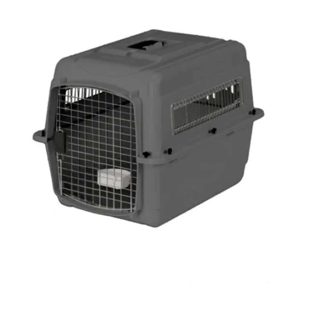 Cage chien