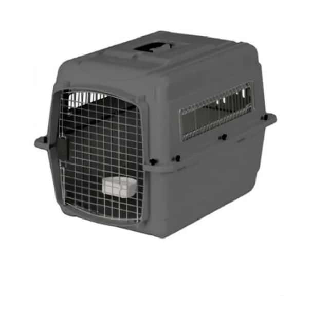Cage chien