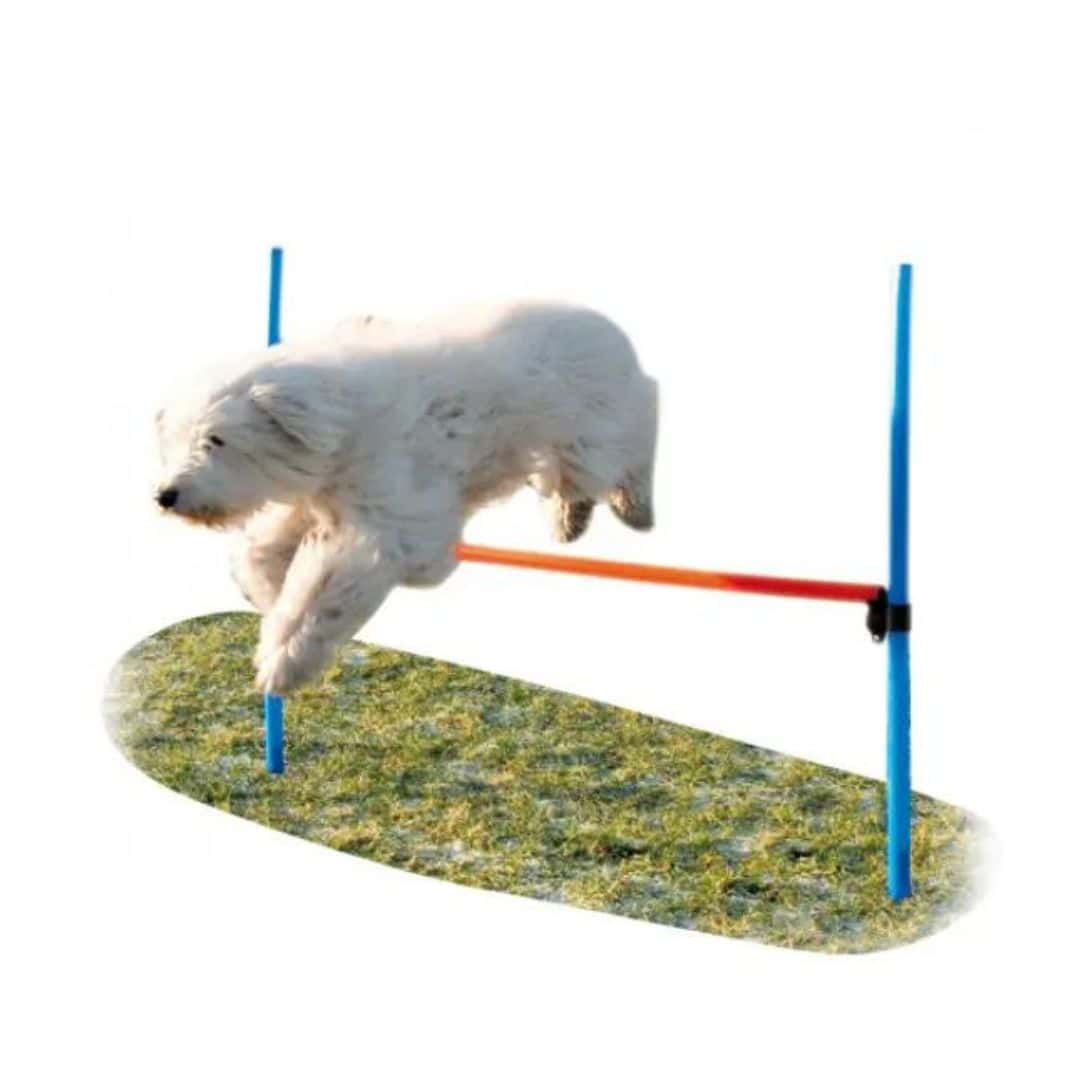 Agility