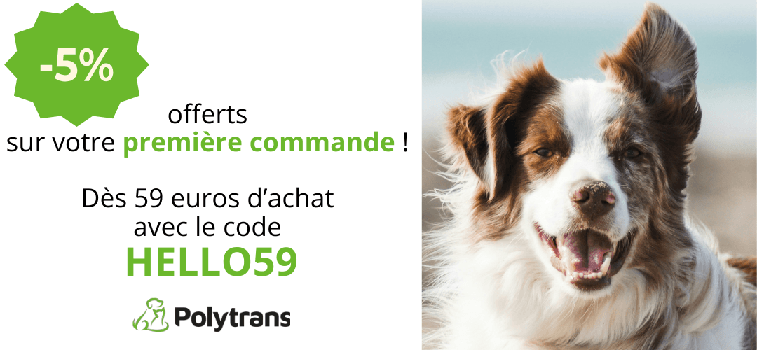Polytrans