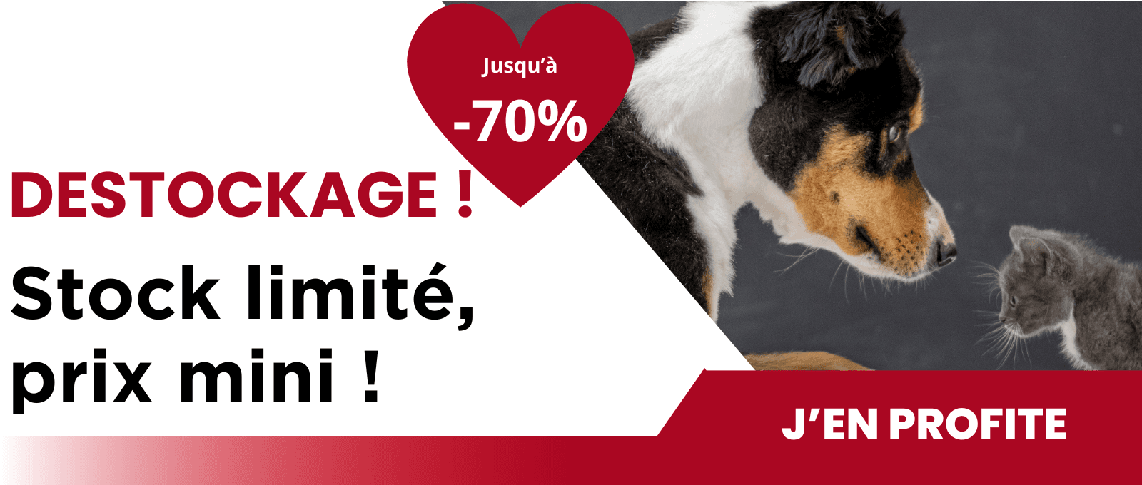Destockage Juin 2025