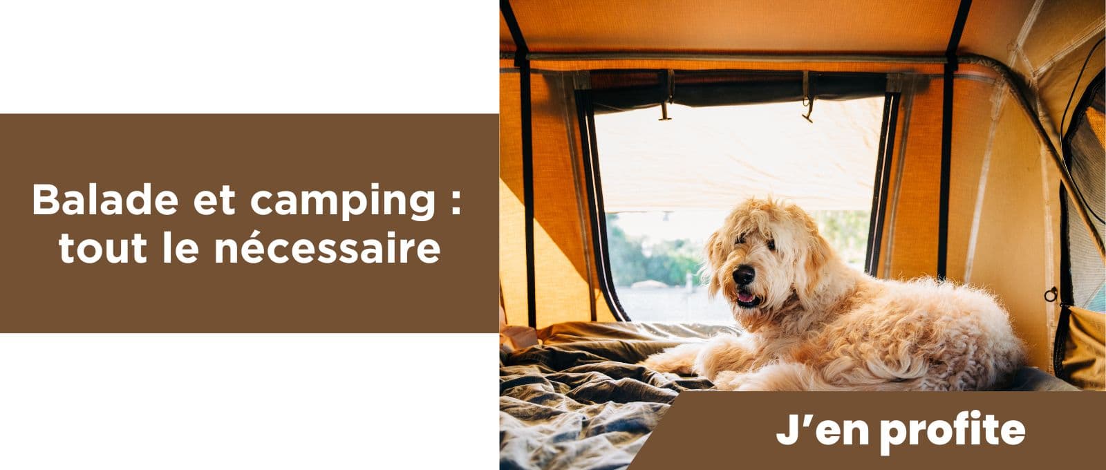 Balade & camping avec son animal : les indispensables !