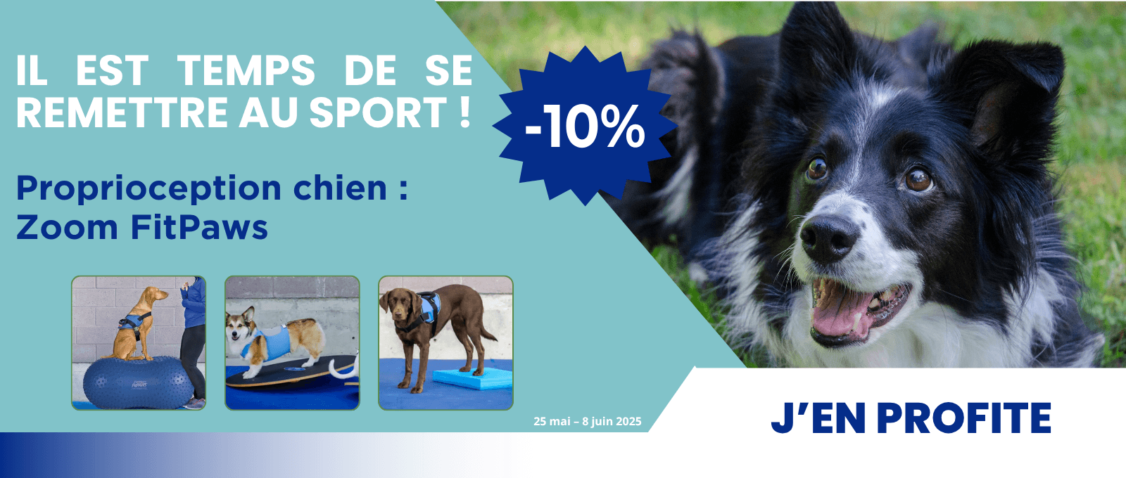 Il est temps de se remettre au sport !