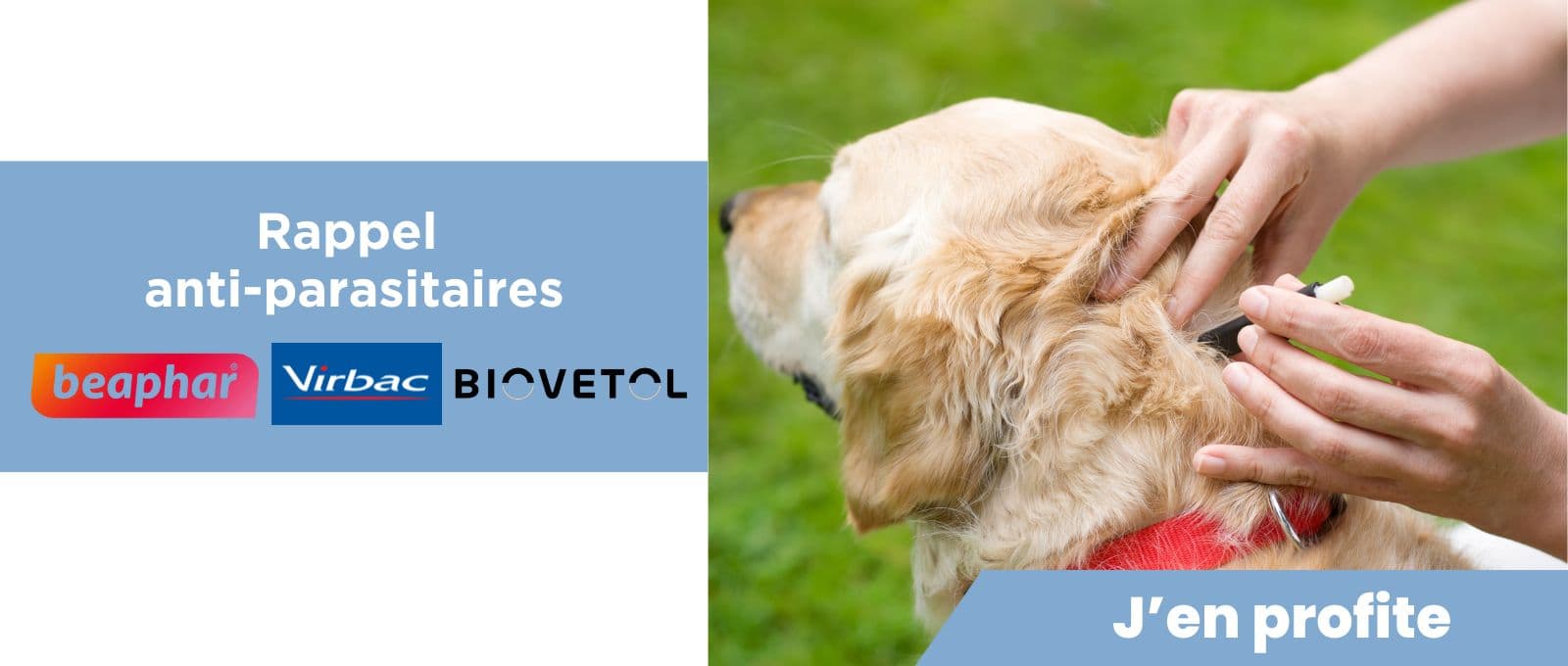 Rappel anti-parasitaires : protégez votre compagnon à prix doux !