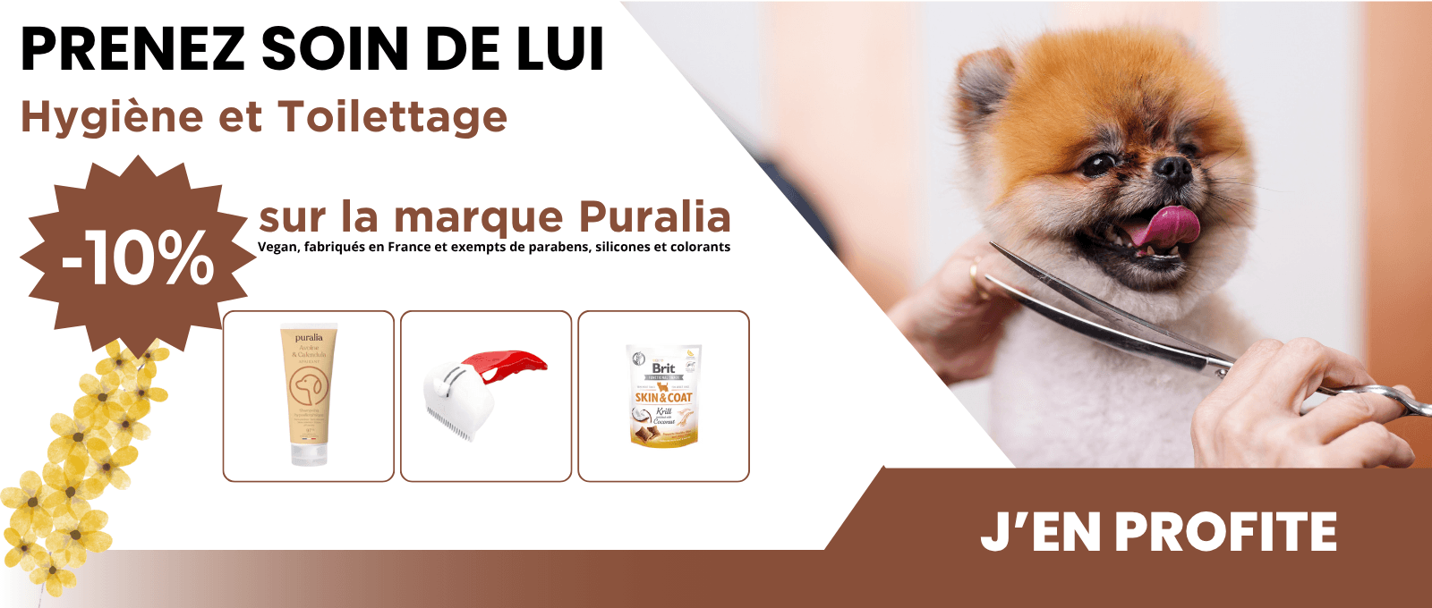Prenez soin de lui : Hygiène et Toilettage