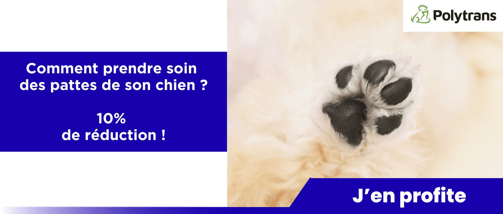 Comment prendre soin des pattes de son chien ? Soins des griffes, des coussinets et des pattes ! -10% !