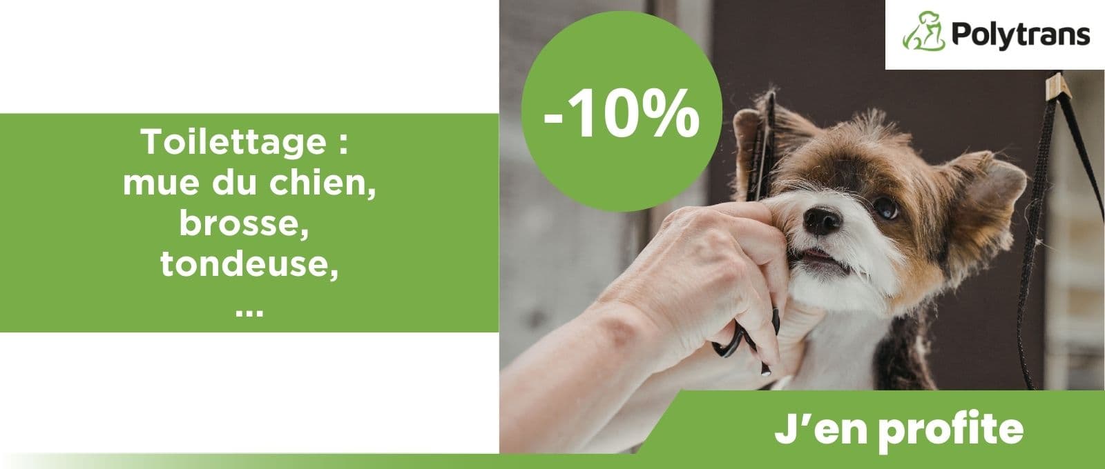Toilettage & accessoires chiens : -10% pour la mue !