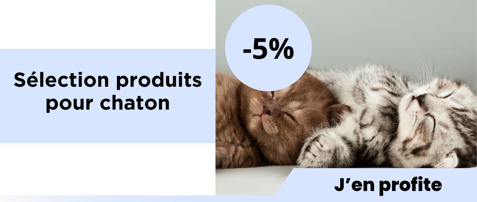Bons plans chatons : -5% sur nos produits