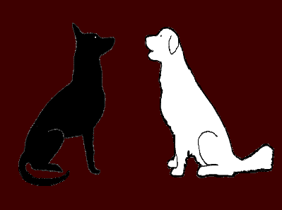 BON SENS CANIN educateur canin Johanna Dabin*