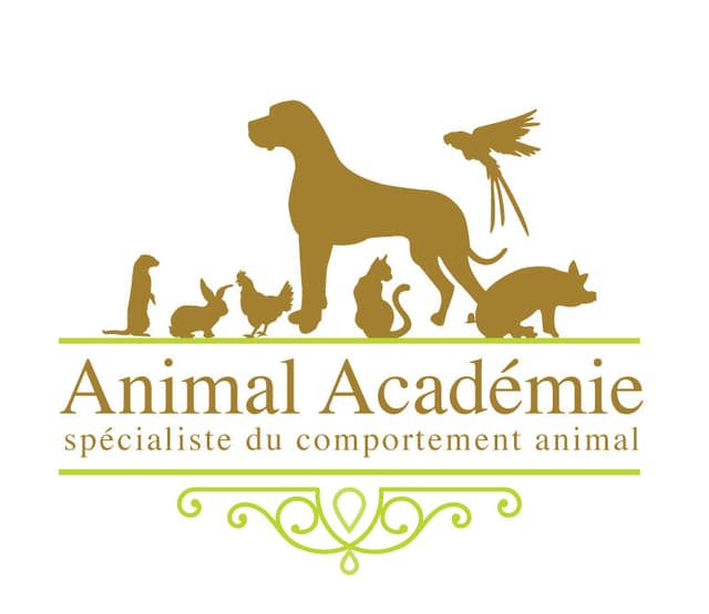 ANIMAL ACADEMIE Spécialiste du comportement animal