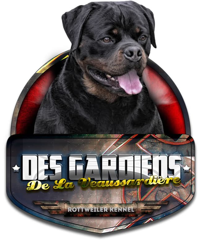 Elevage des GARDIENS DE LA VAUSSARDIERE EGV Elevage, dressage et pension de Rottweilers*