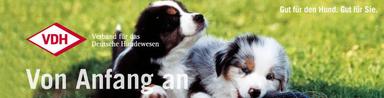 ALLEMAGNE Startseite - Verband für das Deutsche Hundewesen (VDH)