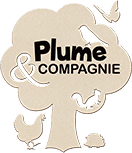 plume-cie