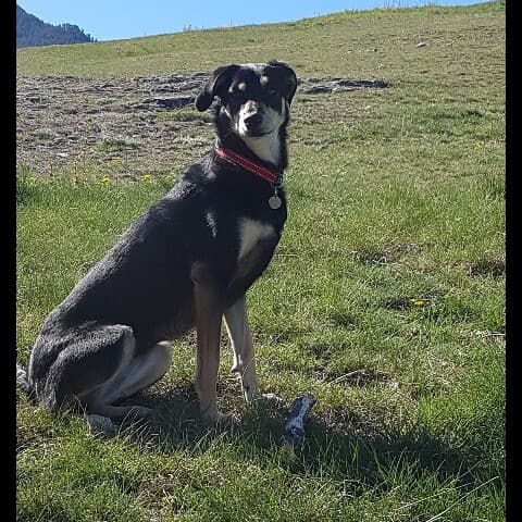 kenza
